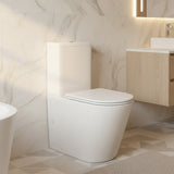 Rimless Back to Wall Toilet Suite 620x370x820mm - Gloss White