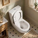 Rimless Tornado Back to Wall Toilet Suite Compact Design 630x390x840mm - Gloss White
