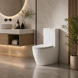 Rimless Tornado Back to Wall Toilet Suite Compact Design 630x390x840mm - Gloss White