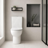 Back to Wall Rimless Flushing Ceramic Toilet Suite Soft Close Seat 650x390x860mm - Gloss White