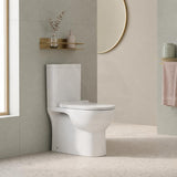 Back to Wall Rimless Flushing Ceramic Toilet Suite Soft Close Seat 650x390x860mm - Gloss White