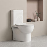 Back to Wall Rimless Flushing Ceramic Toilet Suite Soft Close Seat 650x390x860mm - Gloss White