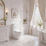 Bathroom Back To Wall Ceramic Toilet Suite Rimless Variant Colour Available 665x380x845mm