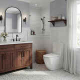 Bathroom Back To Wall Ceramic Toilet Suite Rimless Variant Colour Available 665x380x845mm
