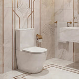 Bathroom Back To Wall Ceramic Toilet Suite Rimless Variant Colour Available 665x380x845mm