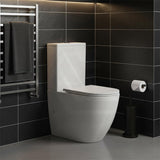 Rimless Tornado Ceramic Back to Wall Toilet Suite 665x380x845mm - Variant Colour