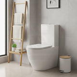 Rimless Tornado Ceramic Back to Wall Toilet Suite 665x380x845mm - Variant Colour