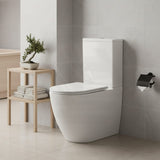 Rimless Tornado Ceramic Back to Wall Toilet Suite 665x380x845mm - Variant Colour