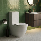 Rimless Tornado Ceramic Back to Wall Toilet Suite 665x380x845mm - Variant Colour