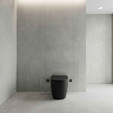Bathroom Toilet Wall Floor Faced Pan With Tornado Rimless Flushing Technology 570x360x400mm - Variant Colour