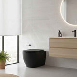 Bathroom Toilet Wall Floor Faced Pan With Tornado Rimless Flushing Technology 570x360x400mm - Variant Colour