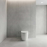 Bathroom Toilet Wall Floor Faced Pan With Tornado Rimless Flushing Technology 570x360x400mm - Variant Colour