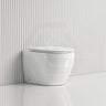 Bathroom Toilet Wall Floor Faced Pan With Tornado Rimless Flushing Technology 570x360x400mm - Variant Colour
