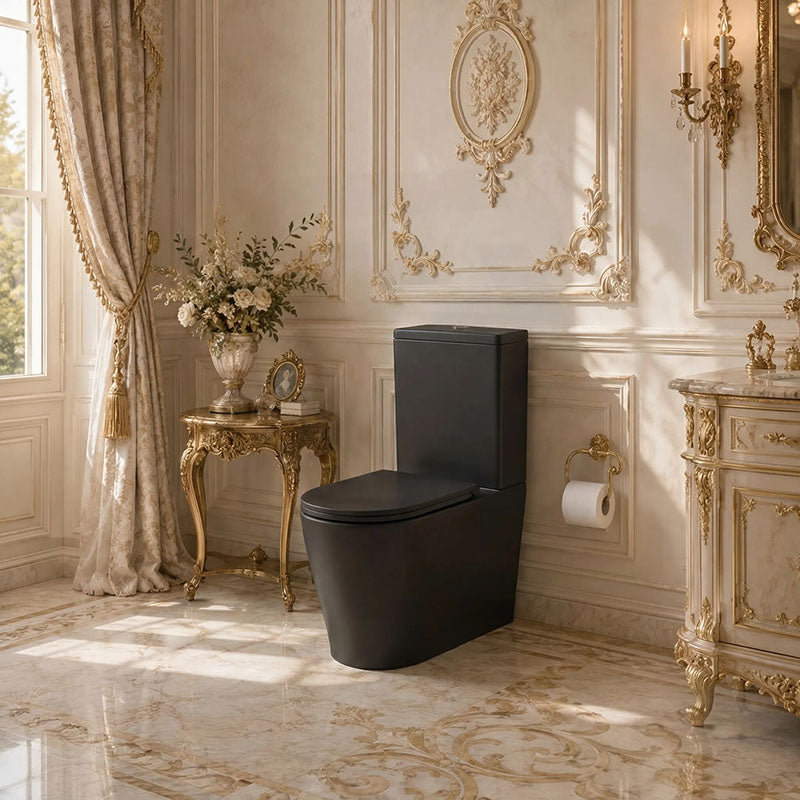 Bathroom Back To Wall Ceramic Toilet Suite Rimless Variant Colour Available 665x380x845mm