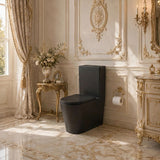 Bathroom Back To Wall Ceramic Toilet Suite Rimless Variant Colour Available 665x380x845mm