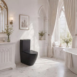 Bathroom Back To Wall Ceramic Toilet Suite Rimless Variant Colour Available 665x380x845mm