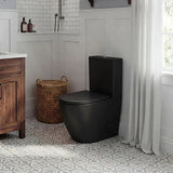 Bathroom Back To Wall Ceramic Toilet Suite Rimless Variant Colour Available 665x380x845mm