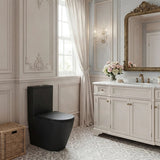 Bathroom Back To Wall Ceramic Toilet Suite Rimless Variant Colour Available 665x380x845mm