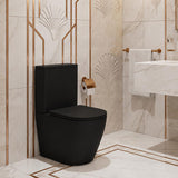 Bathroom Back To Wall Ceramic Toilet Suite Rimless Variant Colour Available 665x380x845mm