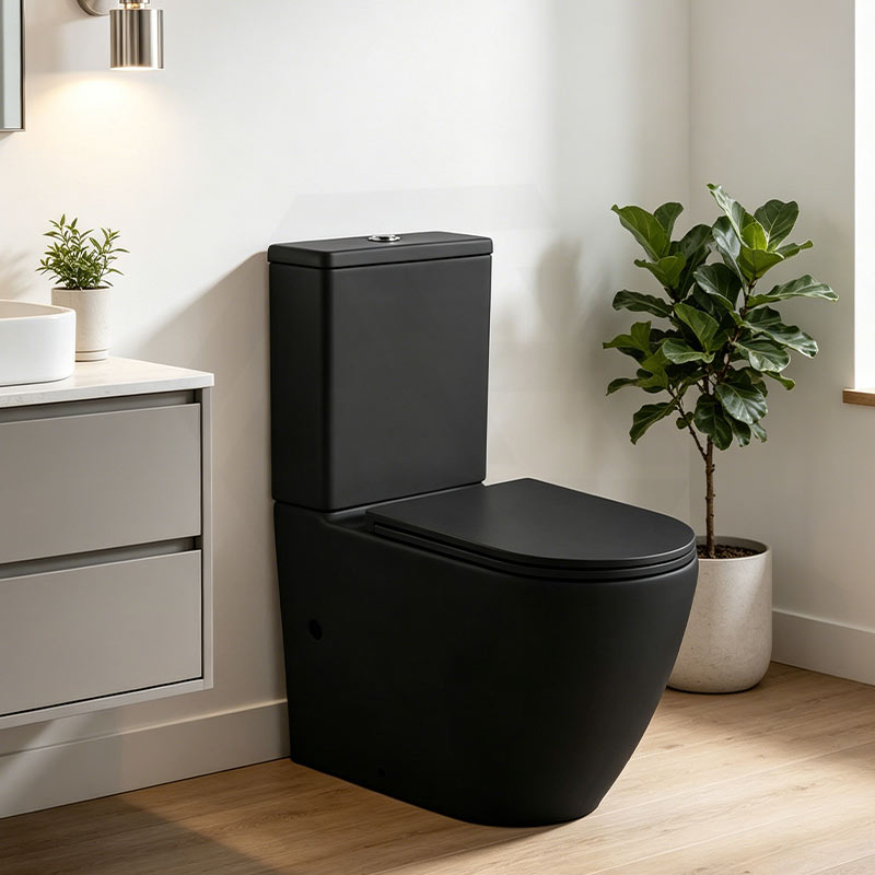 Rimless Tornado Ceramic Back to Wall Toilet Suite 665x380x845mm - Variant Colour