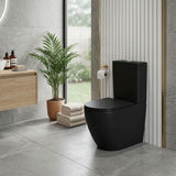 Rimless Tornado Ceramic Back to Wall Toilet Suite 665x380x845mm - Variant Colour