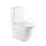 665X380X845Mm Bathroom Back To Wall Toilet Suite Matt White Rimless Flushing Ceramic Suites