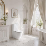 Bathroom Back To Wall Ceramic Toilet Suite Rimless Variant Colour Available 665x380x845mm