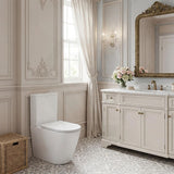 Bathroom Back To Wall Ceramic Toilet Suite Rimless Variant Colour Available 665x380x845mm