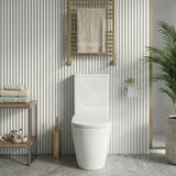 Rimless Tornado Ceramic Back to Wall Toilet Suite 665x380x845mm - Variant Colour