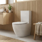Rimless Tornado Ceramic Back to Wall Toilet Suite 665x380x845mm - Variant Colour