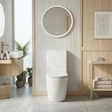Rimless Tornado Ceramic Back to Wall Toilet Suite 665x380x845mm - Variant Colour