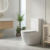 Rimless Tornado Ceramic Back to Wall Toilet Suite 665x380x845mm - Variant Colour