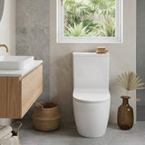 Rimless Tornado Ceramic Back to Wall Toilet Suite 665x380x845mm - Variant Colour