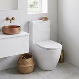Rimless Tornado Ceramic Back to Wall Toilet Suite 665x380x845mm - Variant Colour