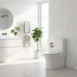Bathroom Back To Wall Toilet Suite Rimless Slim Duraplas Seat Ceramic 665x395x850mm - Gloss White