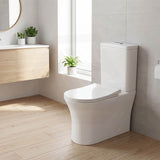 Bathroom Back To Wall Toilet Suite Rimless Slim Duraplas Seat Ceramic 665x395x850mm - Gloss White