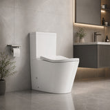 Bathroom Back to Wall Rimless Tornado Toilet Suite with Ergonomic Curved Seat 670x390x860mm - Gloss White