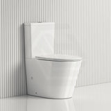 673x415x865 Bathroom Back to Wall Rimless Tornado Toilet Suite Extra Large Pan