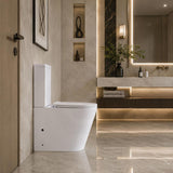 Rimless Tornado Back to Wall Toilet Suite Extra Large 673x415x865mm - Gloss White