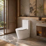 Rimless Tornado Back to Wall Toilet Suite Extra Large 673x415x865mm - Gloss White