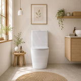 Rimless Tornado Back to Wall Toilet Suite Extra Large 673x415x865mm - Gloss White
