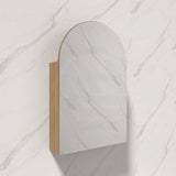 600x900mm Carysil Plywood Wall Hung Arch Shaving Mirror Cabinet Matt White/Walnut Finish for Bathroom