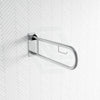 U-Shaped Anti-Slip Stainless Steel Grab Rail With Toilet Roll Holder Special Care Needs