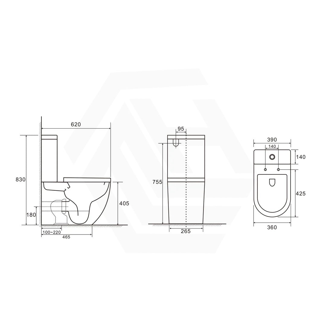 DIANA Tornado Rimless Back to Wall Toilet Suite Compact Design 620x390x830mm - Gloss White