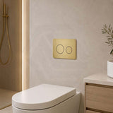 R&T Round Toilet Button for In-wall Concealed Cistern - Variant Colour