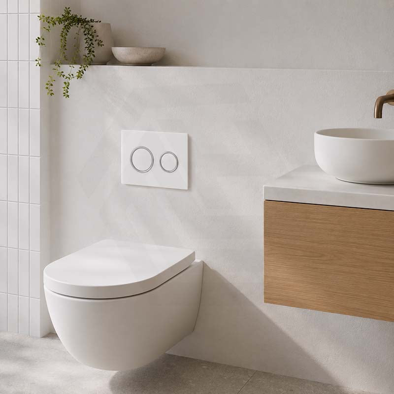 R&T Round Toilet Button for In-wall Concealed Cistern - Variant Colour