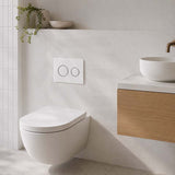 R&T Round Toilet Button for In-wall Concealed Cistern - Variant Colour