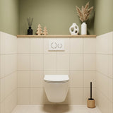 R&T Round Toilet Button for In-wall Concealed Cistern - Variant Colour