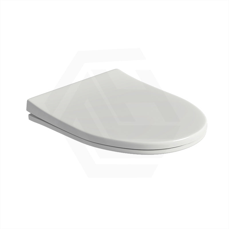 Slim Easy-Release PP Toilet Cover Seat For TS2156