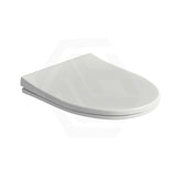 Slim Easy-Release PP Toilet Cover Seat For TS2156